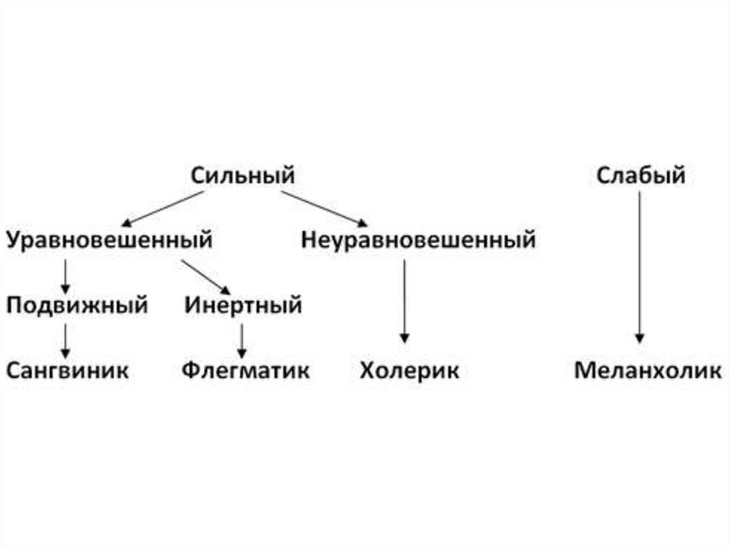 Высшая нервная деятельность эмоции презентация