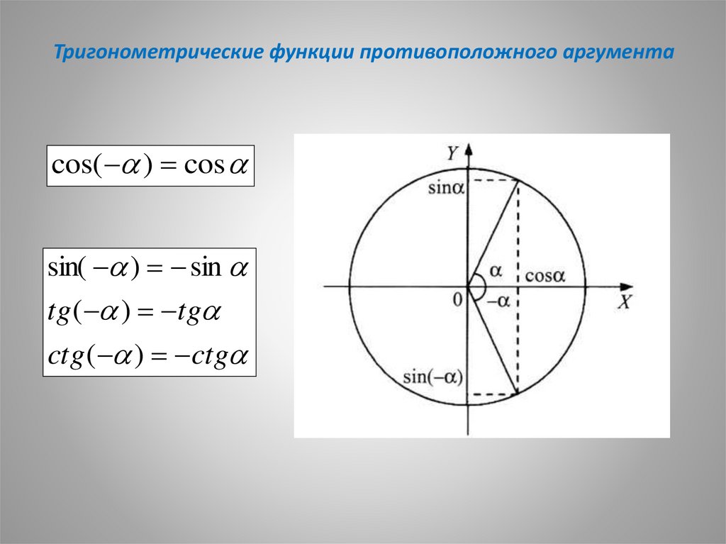 Тригонометрия радианная мера угла. Радианная мера угла круг тригонометрический. Тригонометрический круг формулы приведения. Радианная окружность. Окружность формулы и свойства