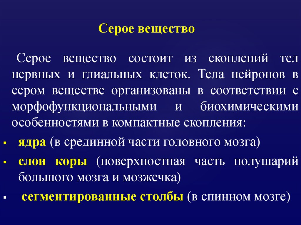 Серое вещество