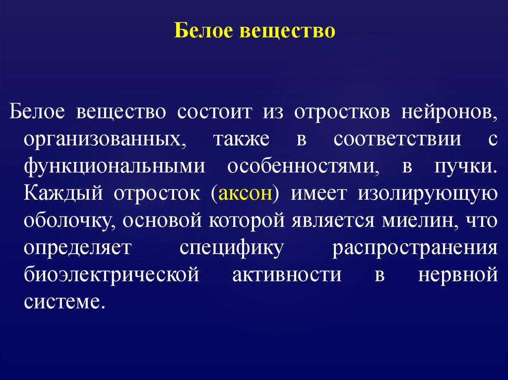 Белое вещество