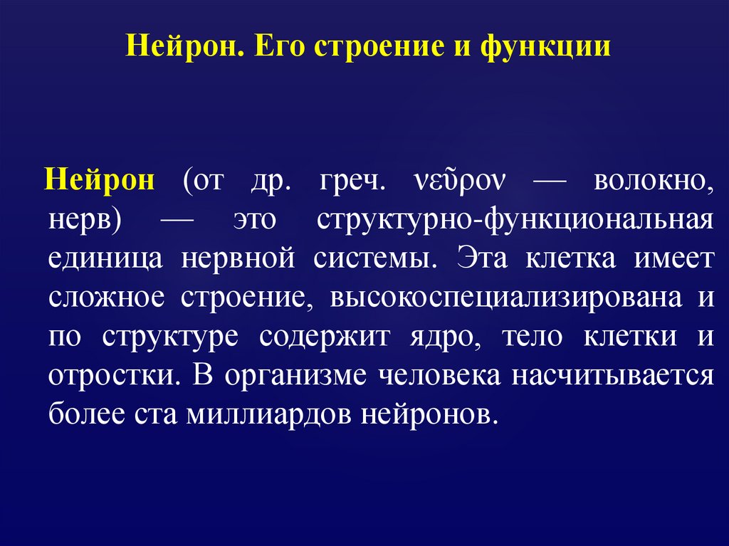 Нейрон. Его строение и функции