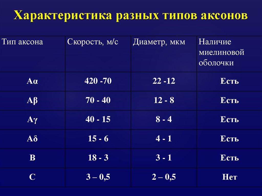 Характеристика разных типов аксонов
