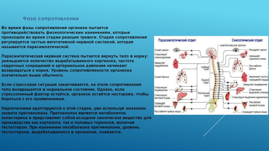 Фаза сопротивления