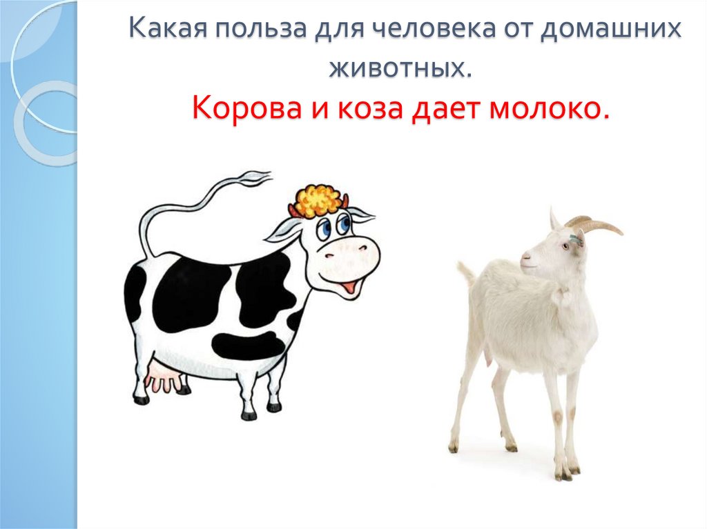 Польза от животных для человека. Картинки какую пользу приносят коза и корова. Коза дает молоко. А давай коза.