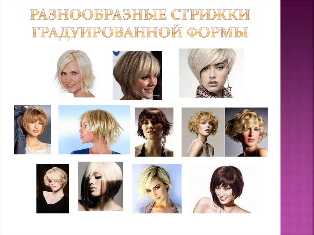 CUT AND COLOR ACADEMY - Форма с нуля