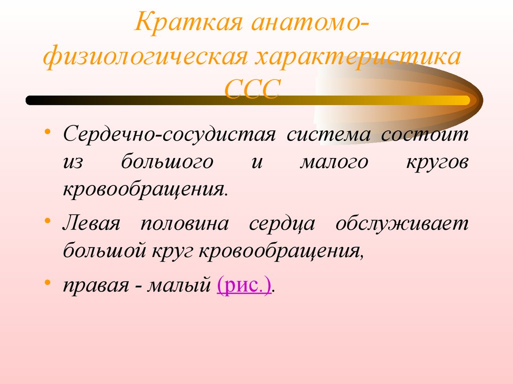 Характеристика сердца. ССС характеристика кратко. Физиологические характеристики человека. Физиологическая характеристика точности. Характеристика физиологического моц.