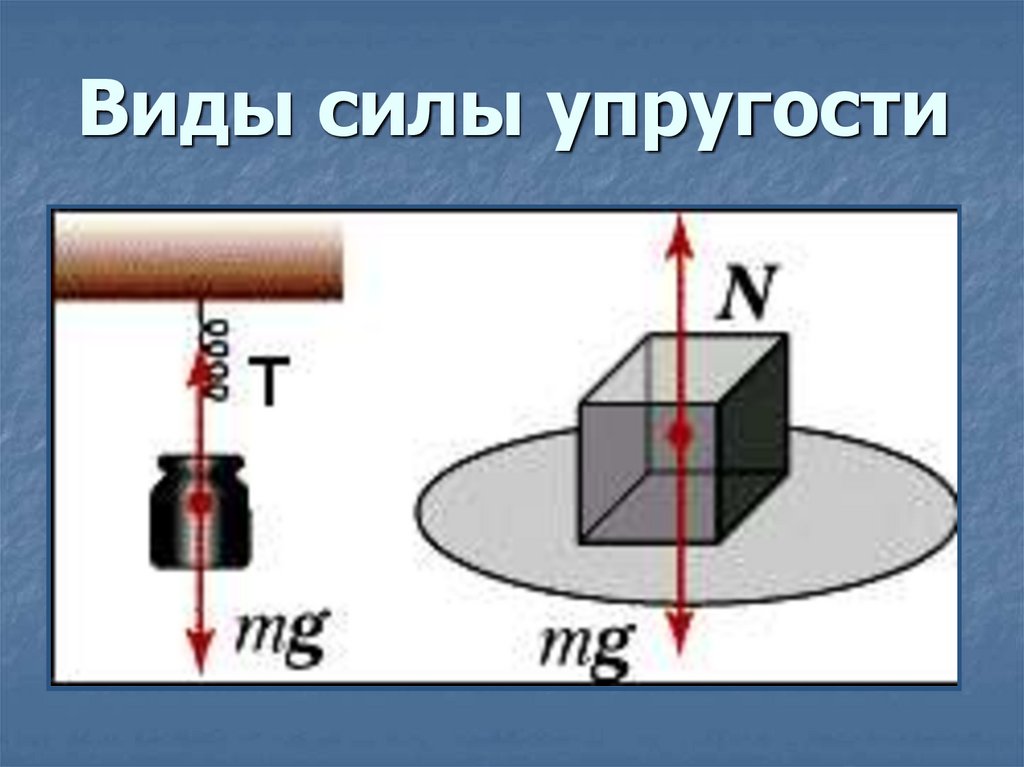 Mg сила. Виды силы упругости. Виды сил. Разновидности силы упругости. Сила упругости виды сил.