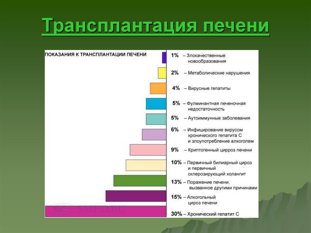 Трансплантация печени отзывы