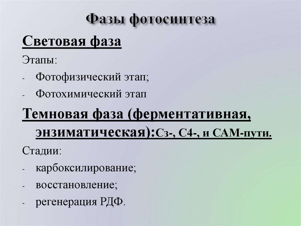 Фазы фотосинтеза