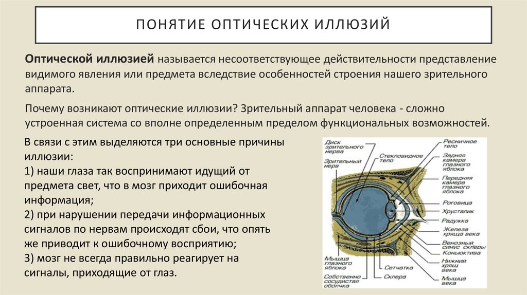 Примеры оптических иллюзий в архитектуре