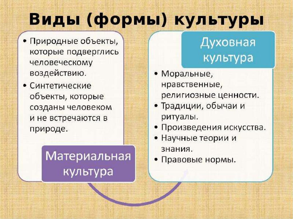 Тема духовная культура огэ по обществознанию. Формы культуры Обществознание. Культура виды и формы культуры. Типы материальной культуры. Культура это в обществознании.