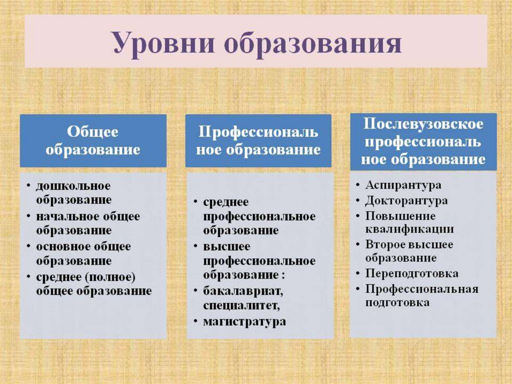 Право человека на образование обществознание 6 класс презентация