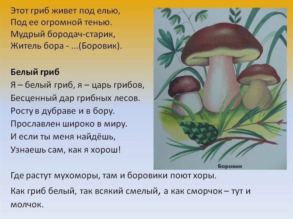 Сочинение на тему красота грибов. Рассказ о грибах. Сказка про грибы. Маленький рассказ про грибы. Стих про белый гриб для детей.