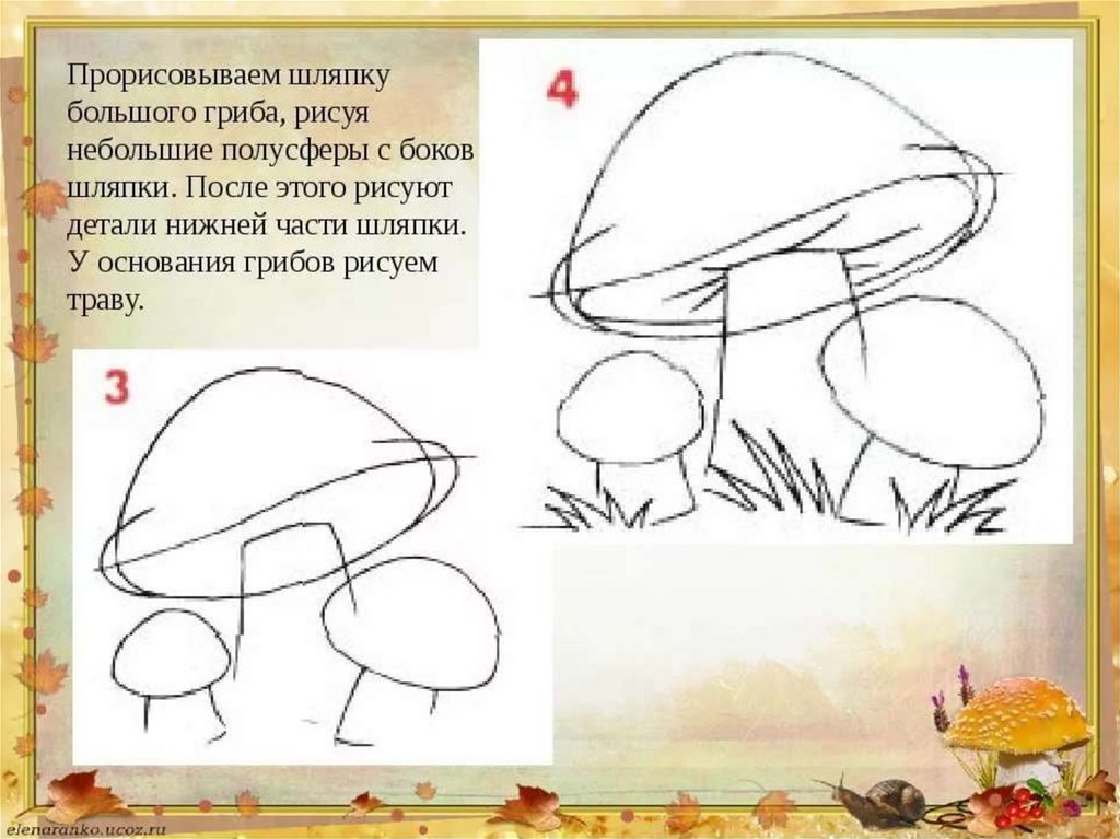 Урок изо 1 класс презентация поэтапное рисование. Поэтапное рисование гриба. Уроки рисования для начальных классов. Рисование 2 класс. Урок рисования 4 класс.