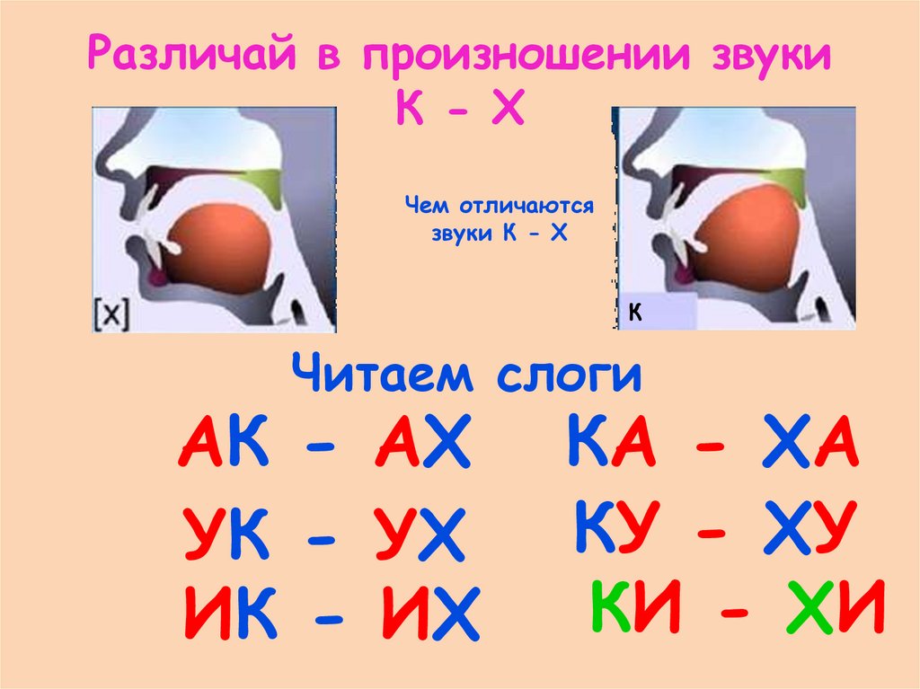 Дифференциация с з 2 класс презентация