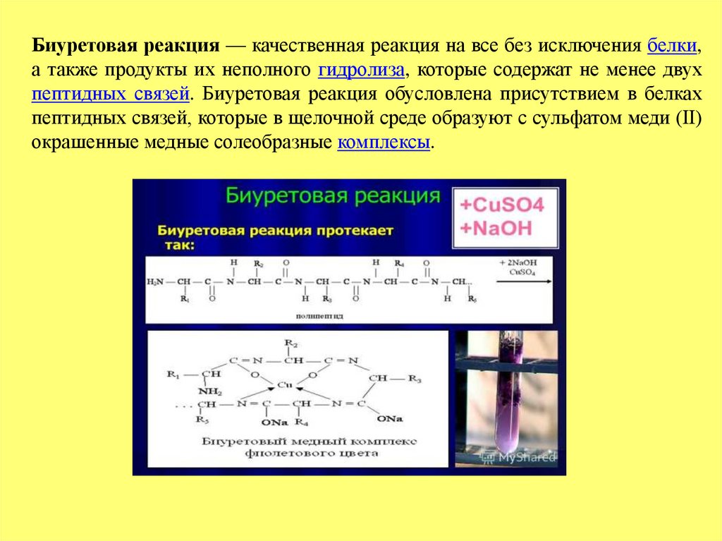 Схема образования биурета из яичного белка