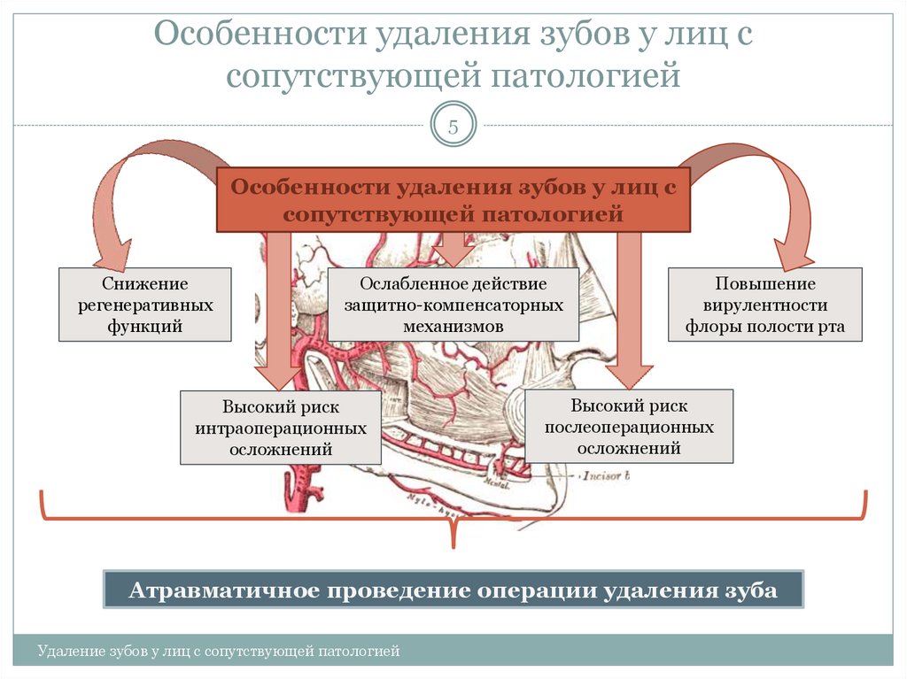 Действия удаления. Особенности удаления зубов у лиц с сопутствующими заболеваниями.