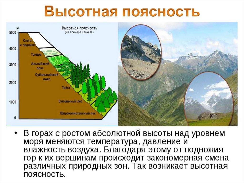 Как называется смена природы при подъеме вверх. Высотная поясность гор Кавказа. Зональность и Высотная поясность. Зоны ВЫСОТНОЙ поясности. Природные зоны ВЫСОТНОЙ поясности.