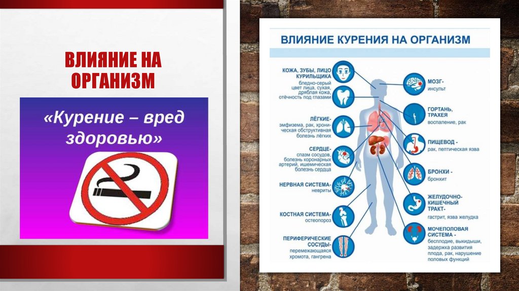 Влияние на организм