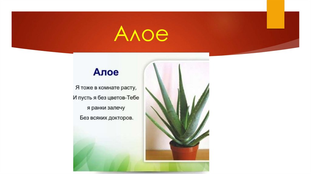 Алое