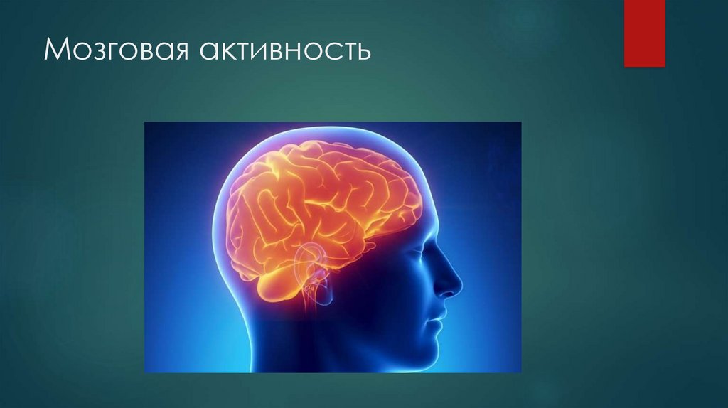 Мозговая активность