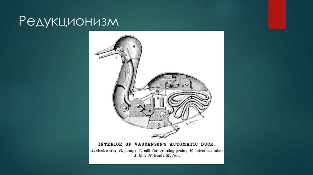 Редукционизм