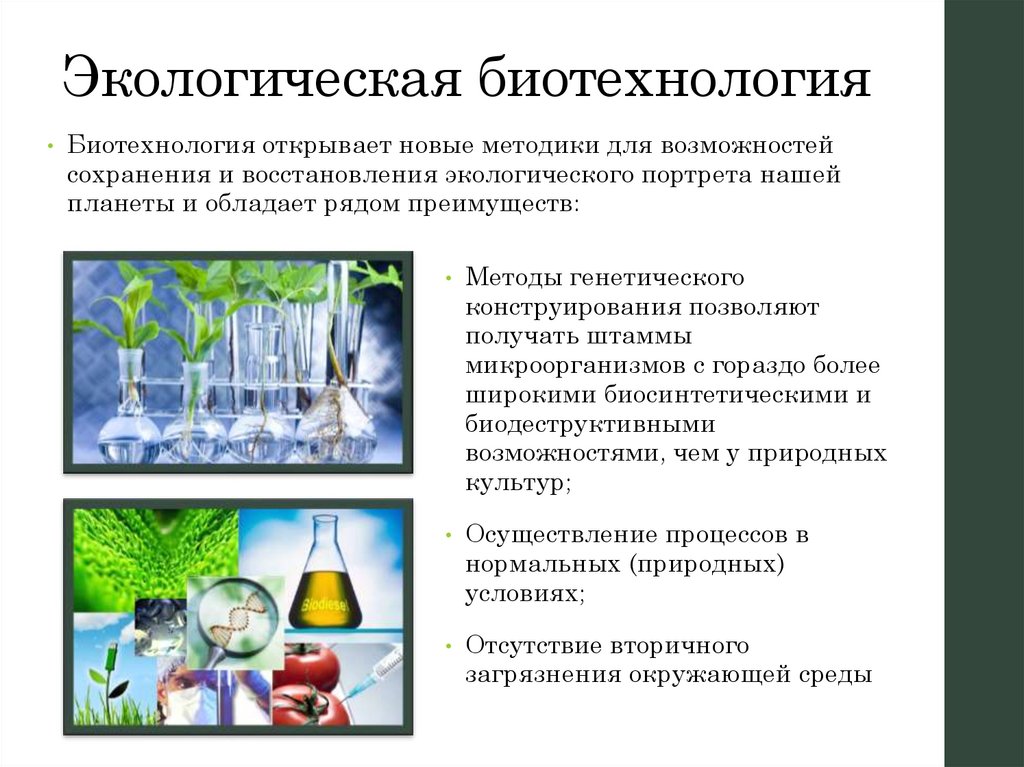 Биотехнология отзывы. Экологическая биотехнология. Биотехнологии в экологии. Экология биотехнология заключение. Экологическая Биотехника.