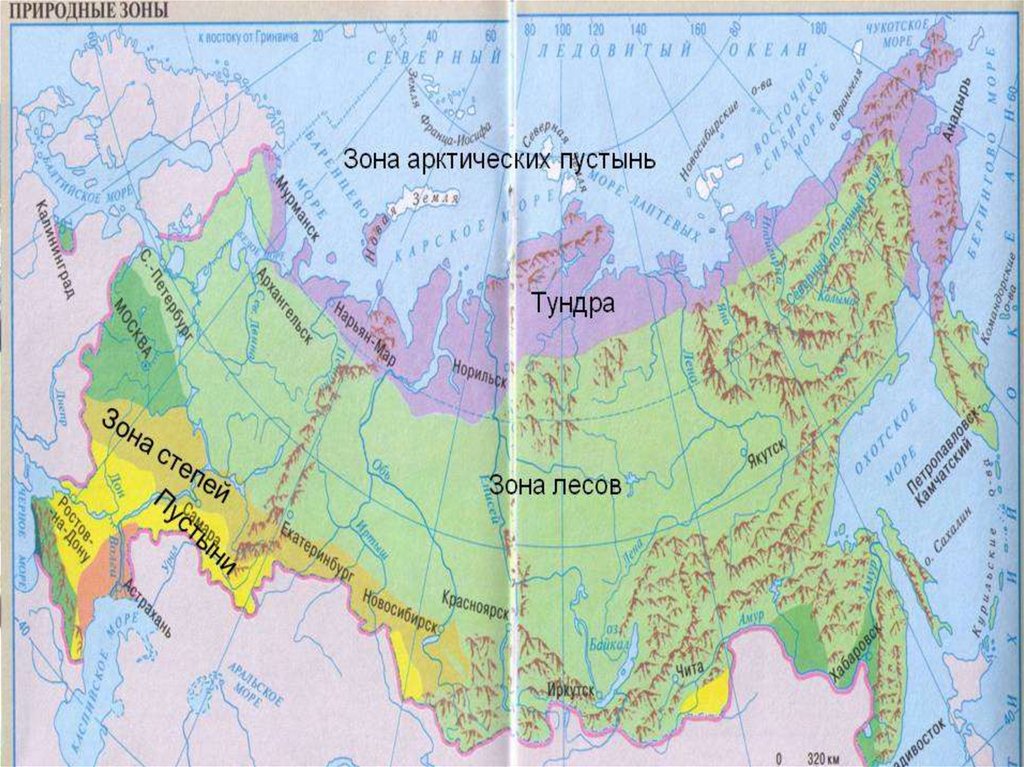 Карта природных зон онлайн карта