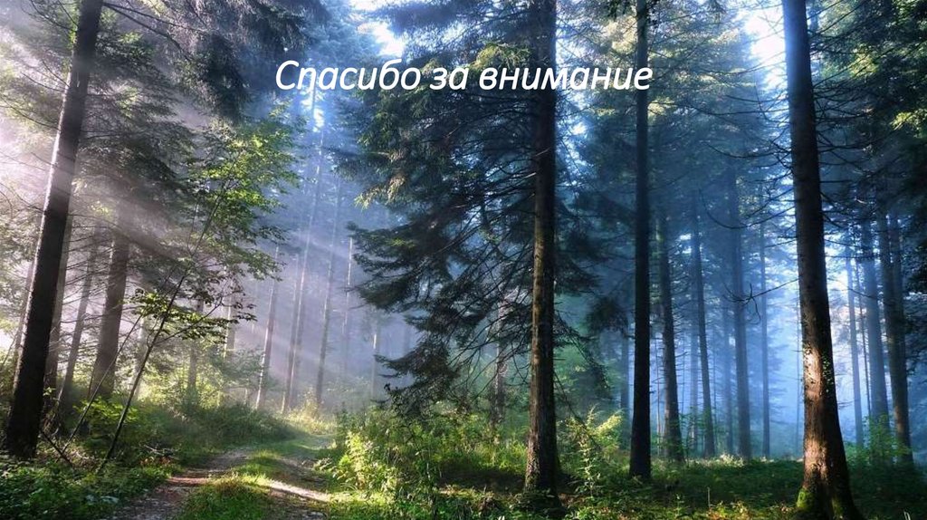 Спасибо за внимание