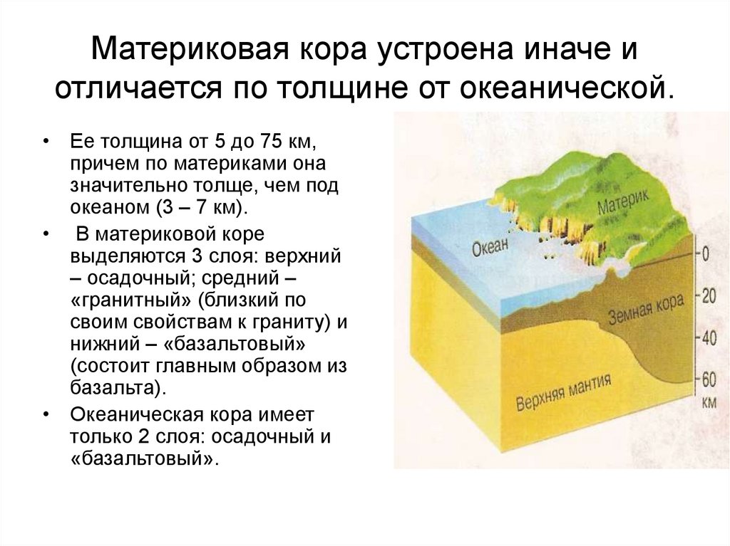 Слои материковой и океанической земной коры