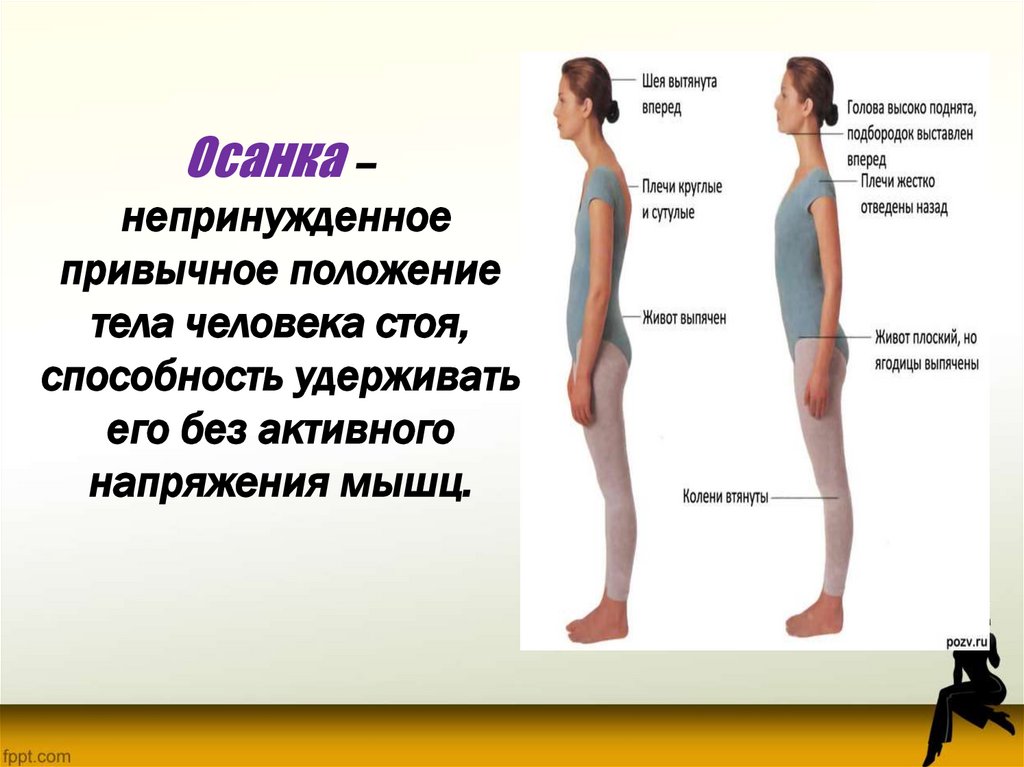 Почему шея вперед. Положение тела человека. Осанка тела человека. Привычное положение тела человека. Вертикальное положение тела человека.