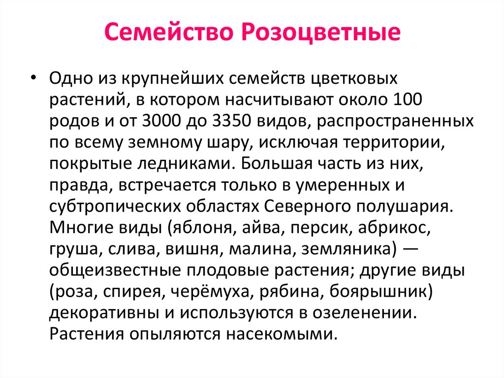 Семейство розоцветные презентация 6 класс