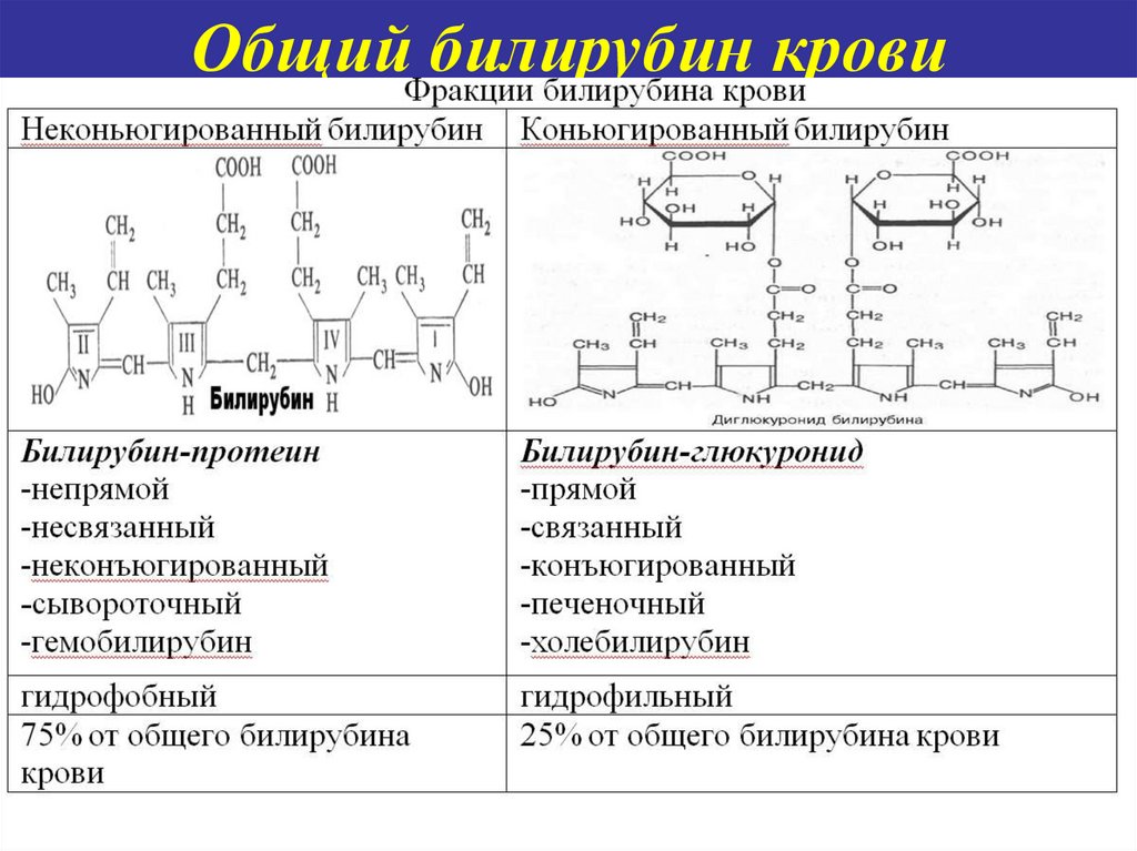 Биохимия печени