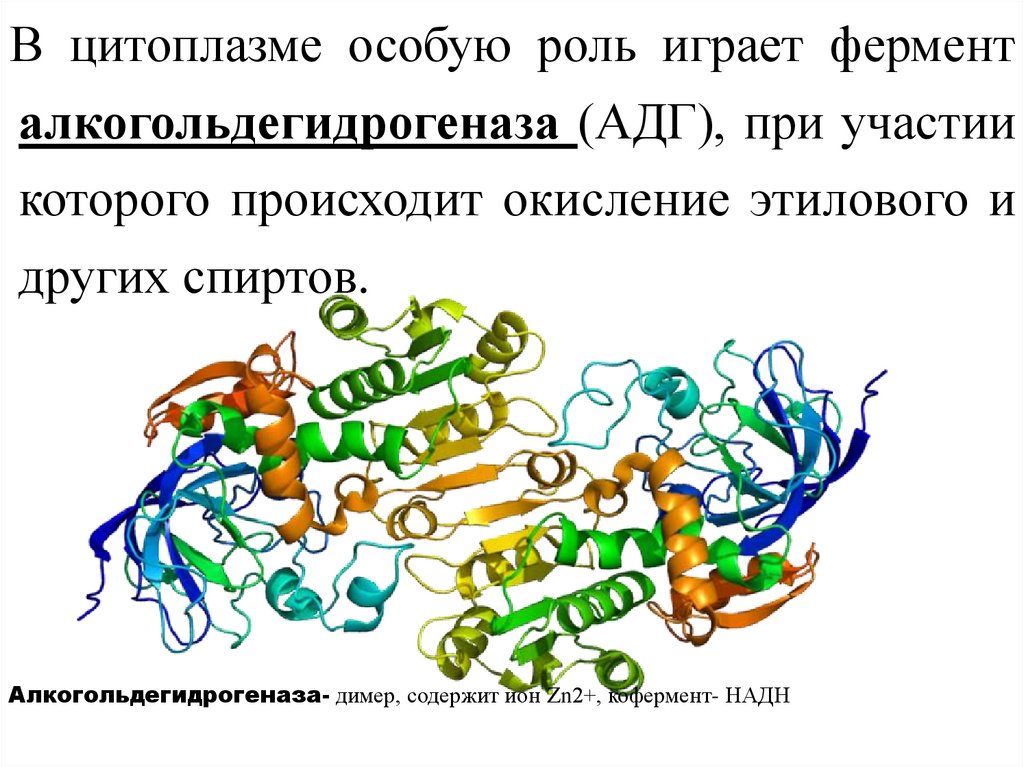 Биохимические принципы