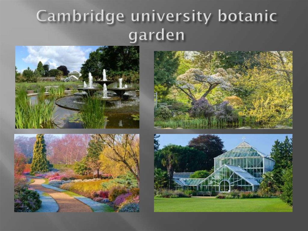 Cambridge university botanic garden