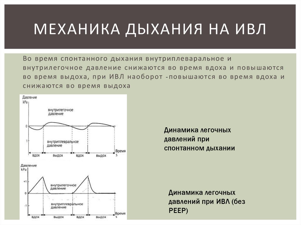 Ивл характеристики. Механика дыхания. Дыхательная недостаточность на ИВЛ. Давление вдоха ИВЛ. ИВЛ С положительным давлением на выдох.