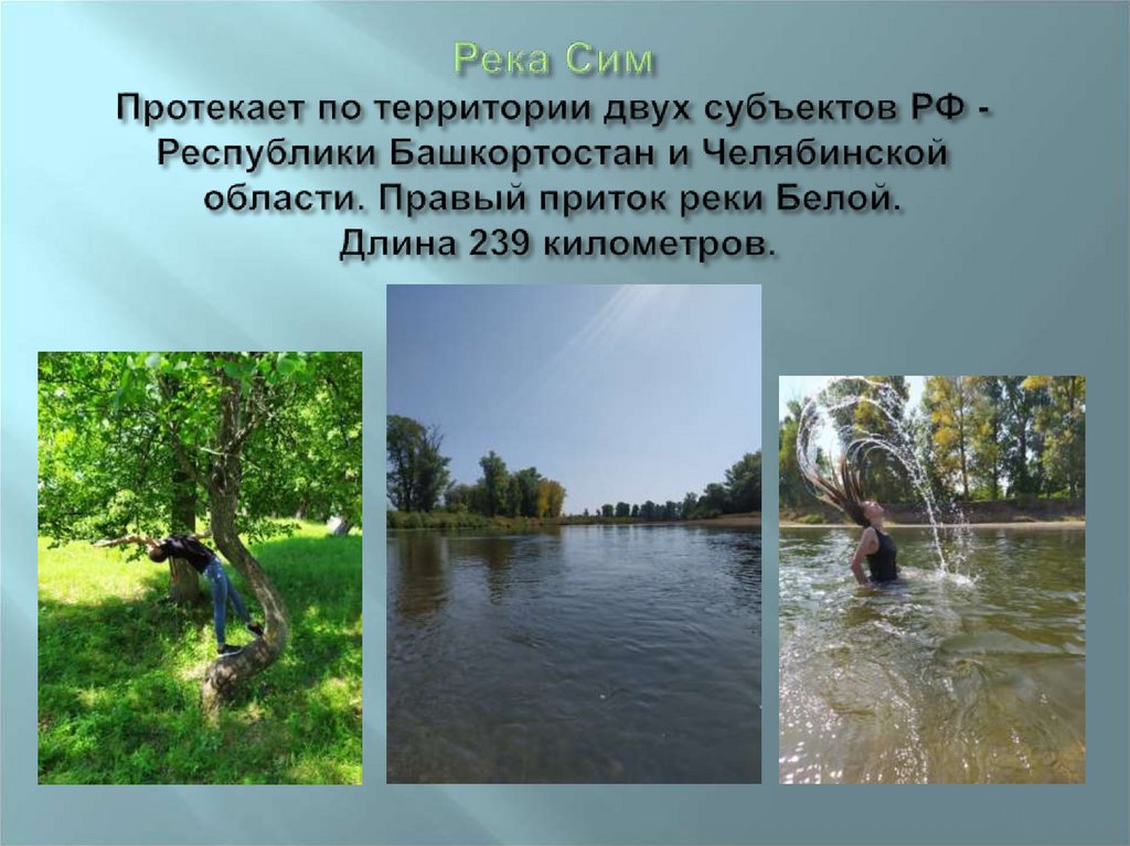 Река Сим Протекает по территории двух субъектов РФ -Республики Башкортостан и Челябинской области. Правый приток реки Белой.