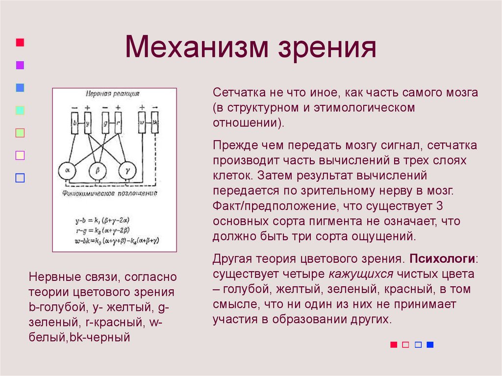 Механизм зрения. Механизм цветового зрения. Механизм цветового зрения физиология. Первичный механизм зрения.