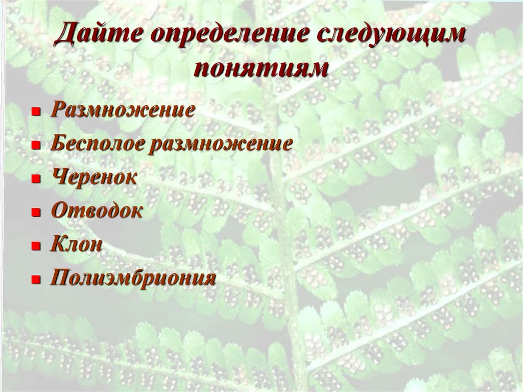 Дает следующее определение данному понятию