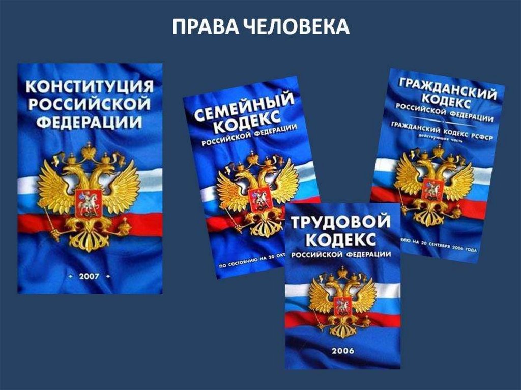 Права человека в современном обществе проект