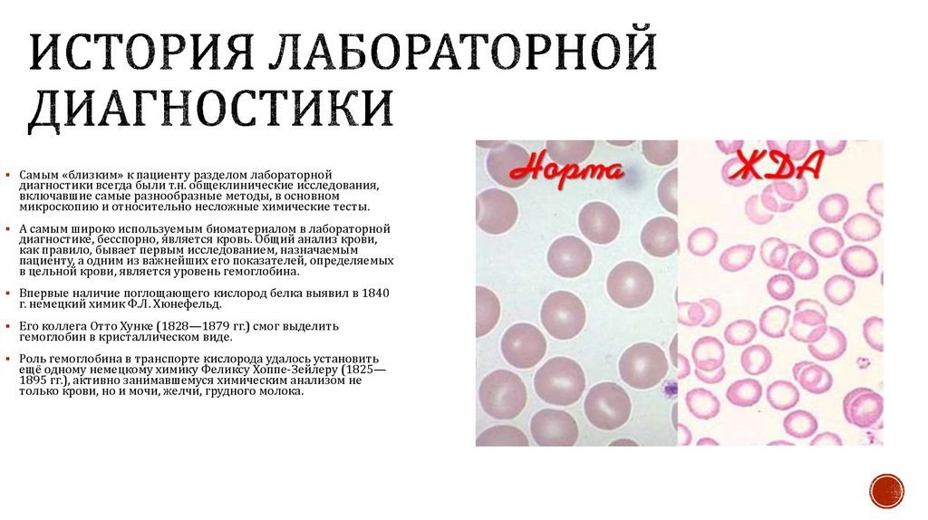 История лабораторной диагностики