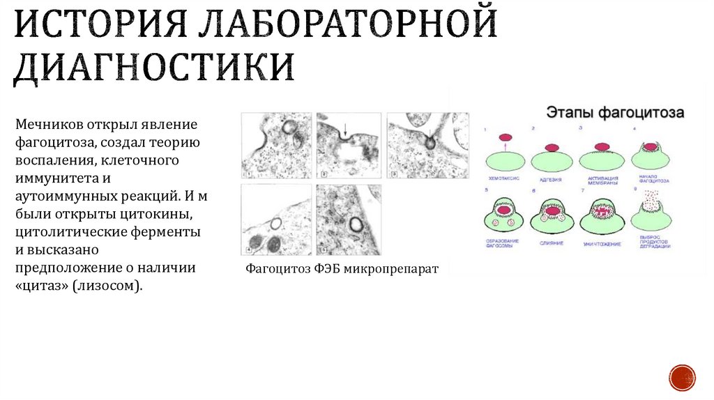 История лабораторной диагностики