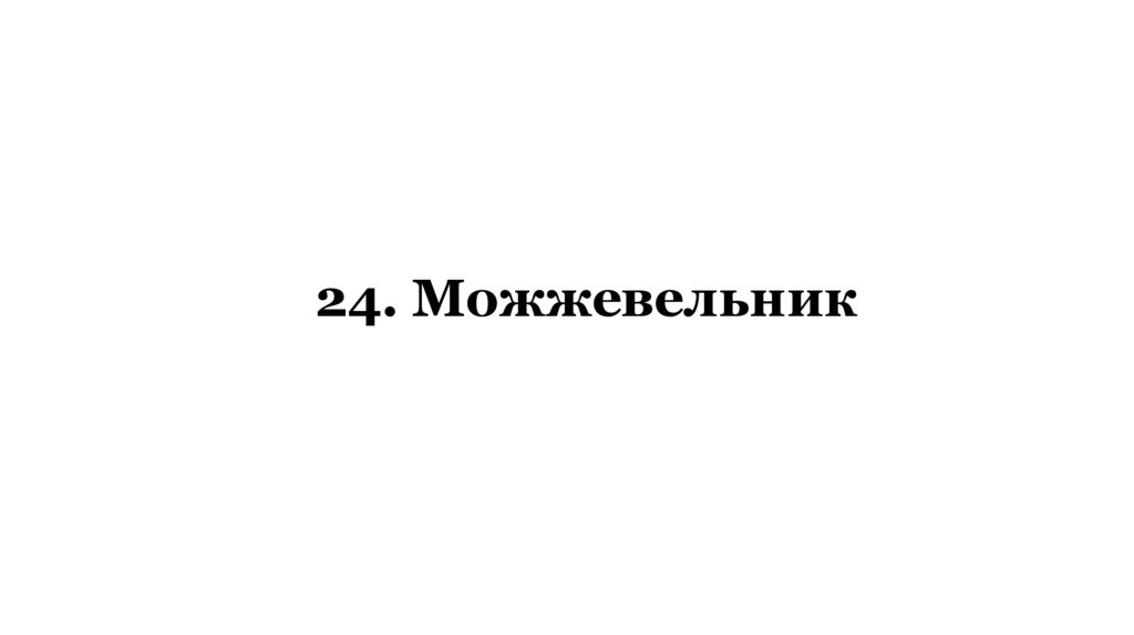 24. Можжевельник