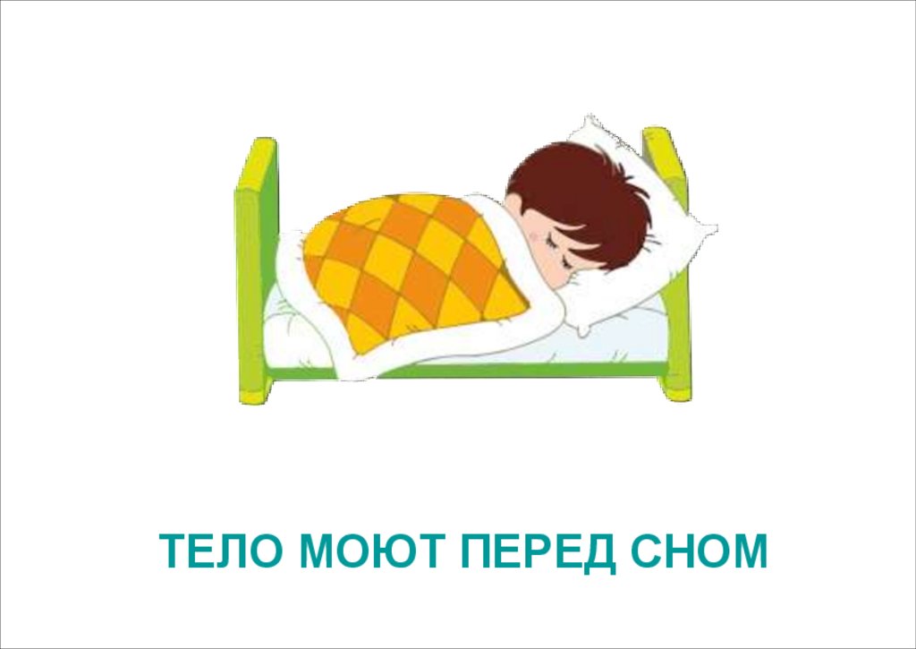 ТЕЛО МОЮТ ПЕРЕД СНОМ