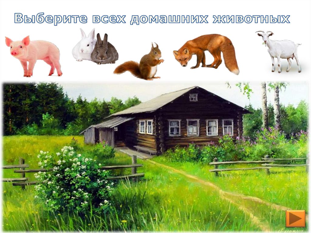 Интерактивная игра домашние животные презентация