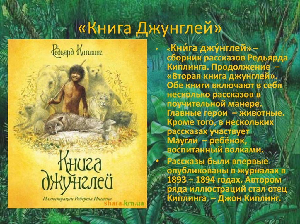 Книга джунглей книга с картинками