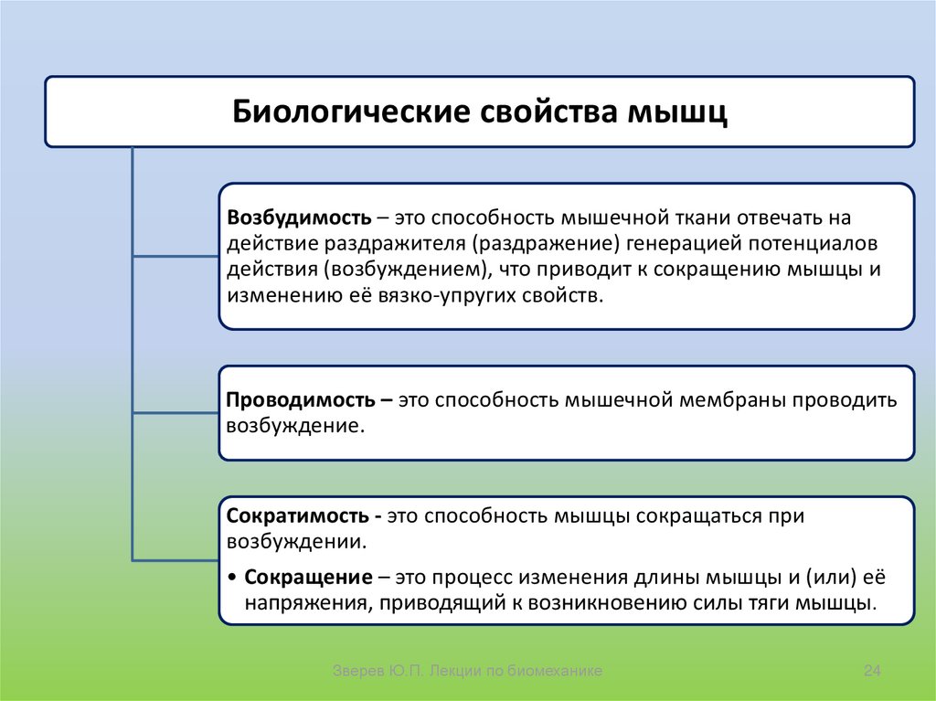 План анализа положений и движений тела человека