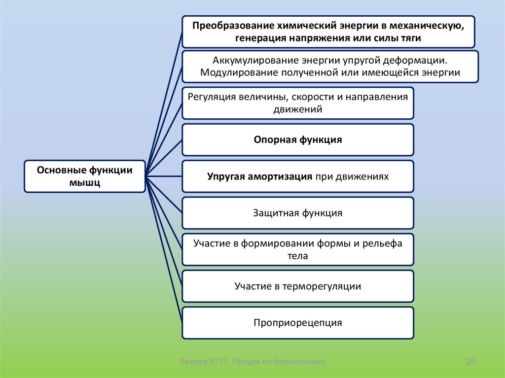 План анализа положений и движений тела человека