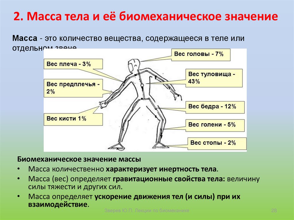 Геометрия масс проект