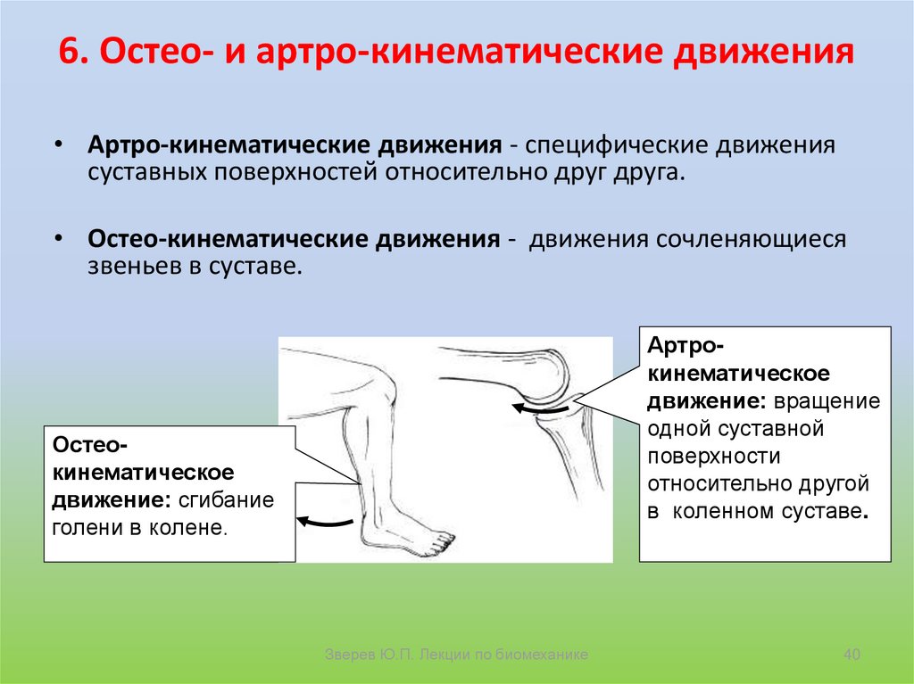 Перемещающие движения в биомеханике презентация